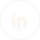 linkedin icon